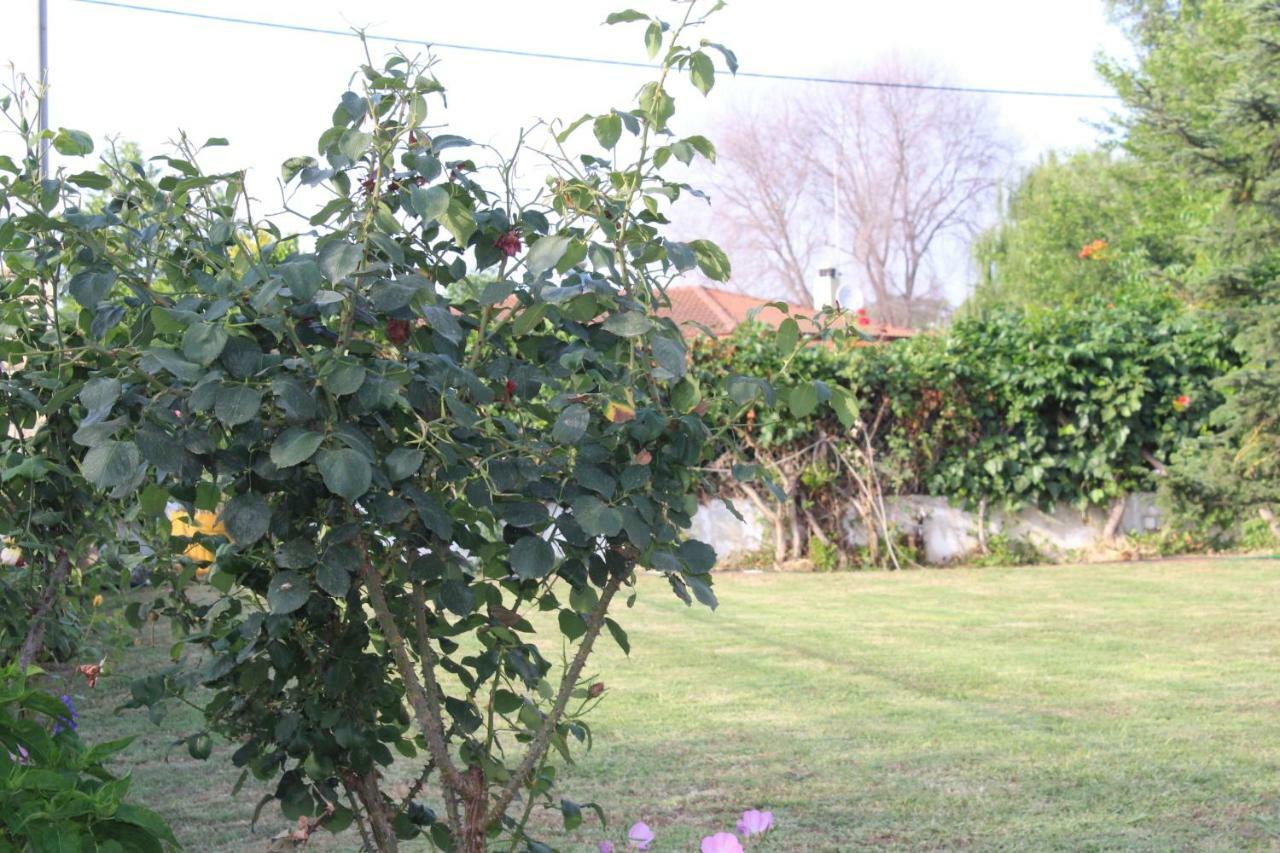 Maria'S Guesthouse Κεραμωτή Εξωτερικό φωτογραφία
